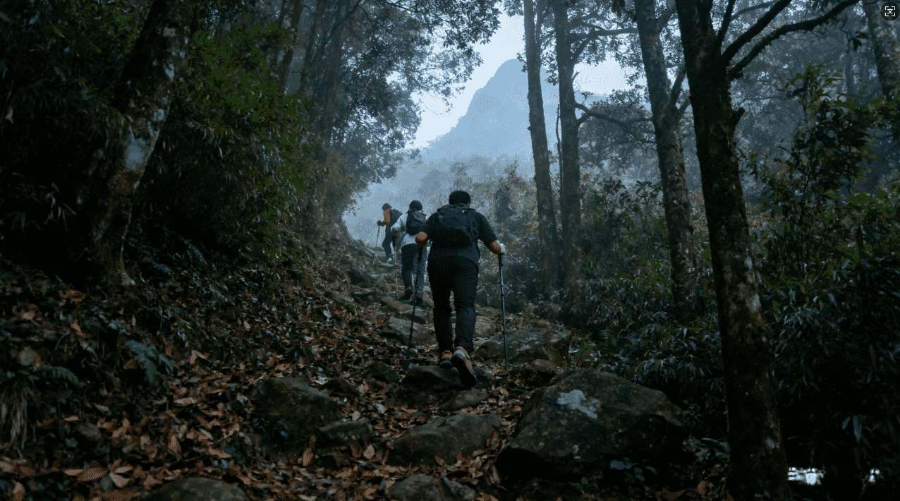 Loco加速器VPN无配使用指南详解